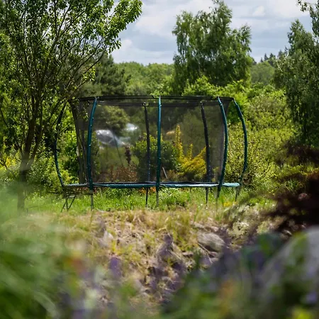 Leśne Dziarnówko *