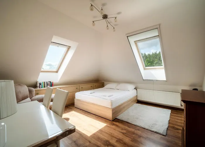 Holiday home Lesne Dziarnowko